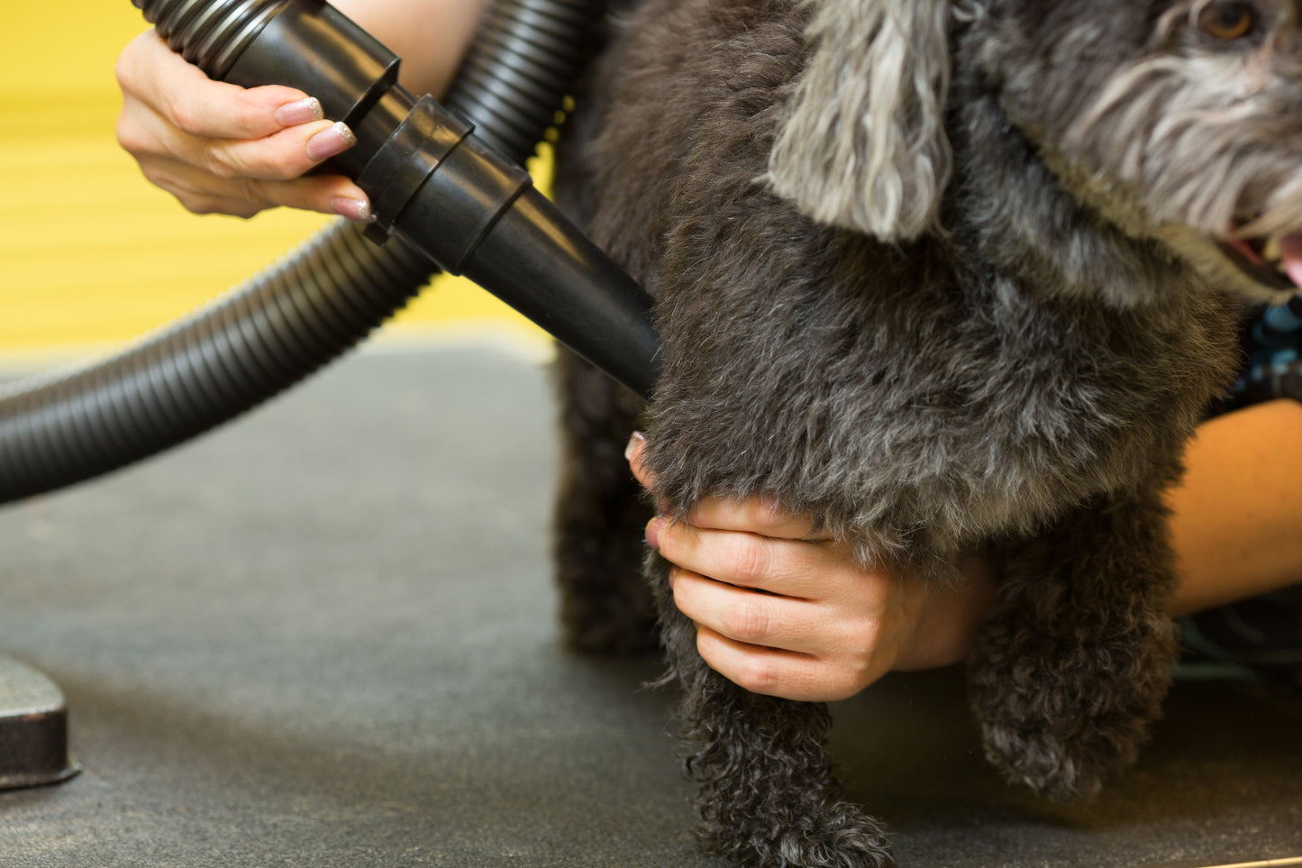 Metrovac 114I-144649 Air Force Blaster 220V / Aus