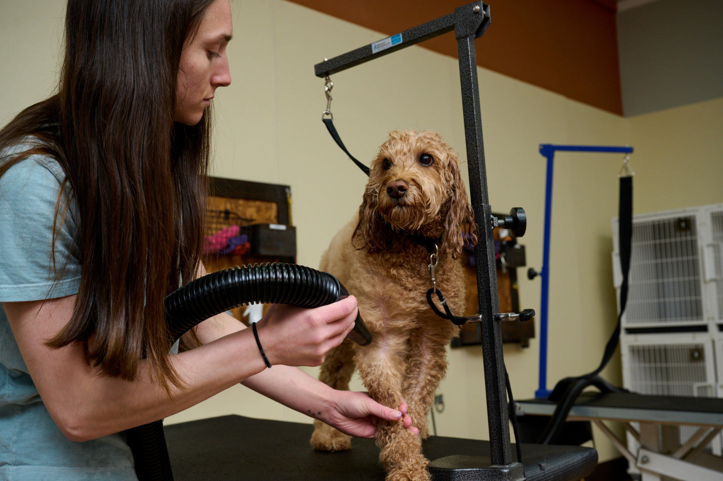 Metrovac 114I-144588 Air Force Master Blaster 220V / Aus