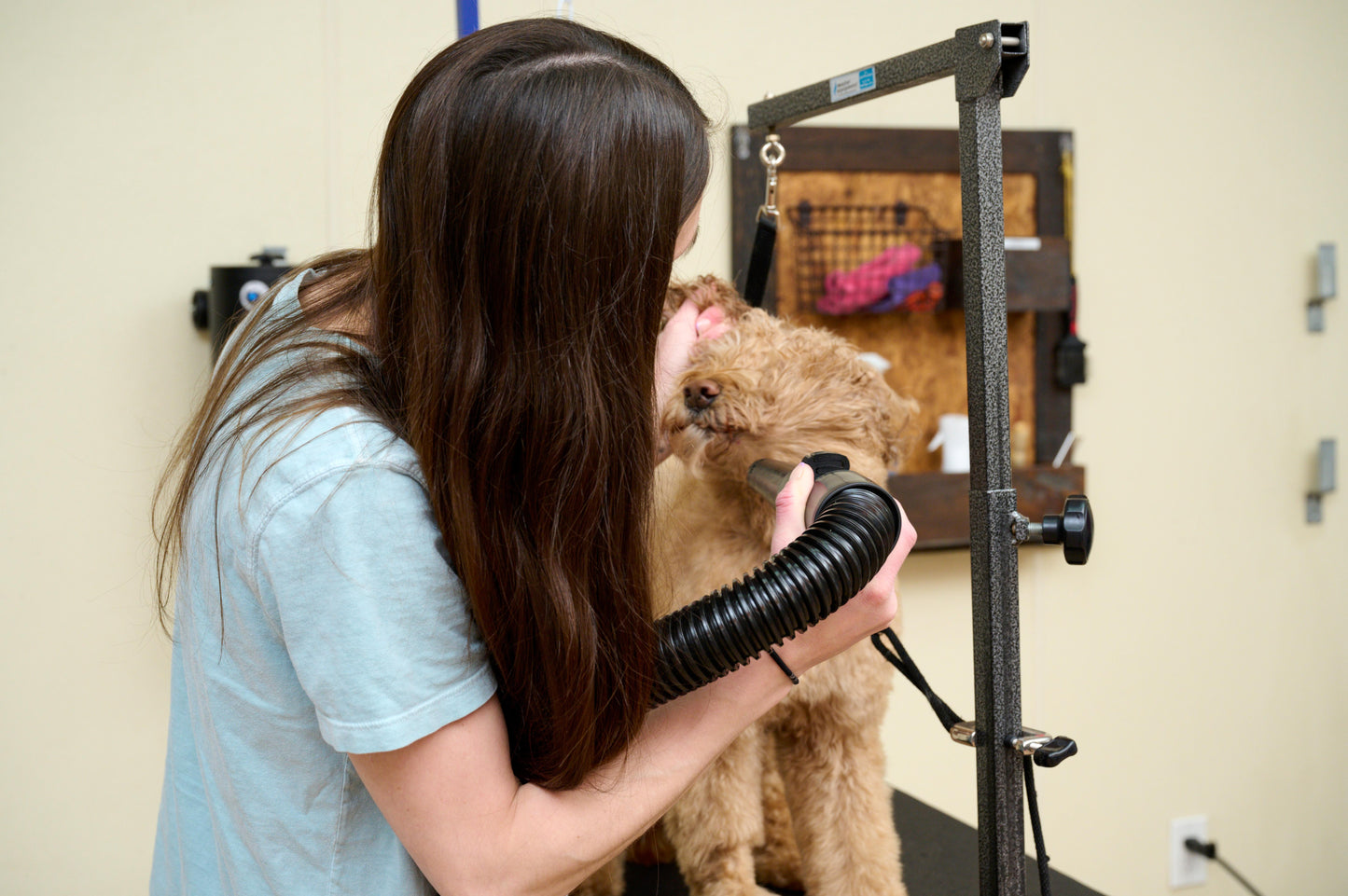 Metrovac 114I-144588 Air Force Master Blaster 220V / Aus