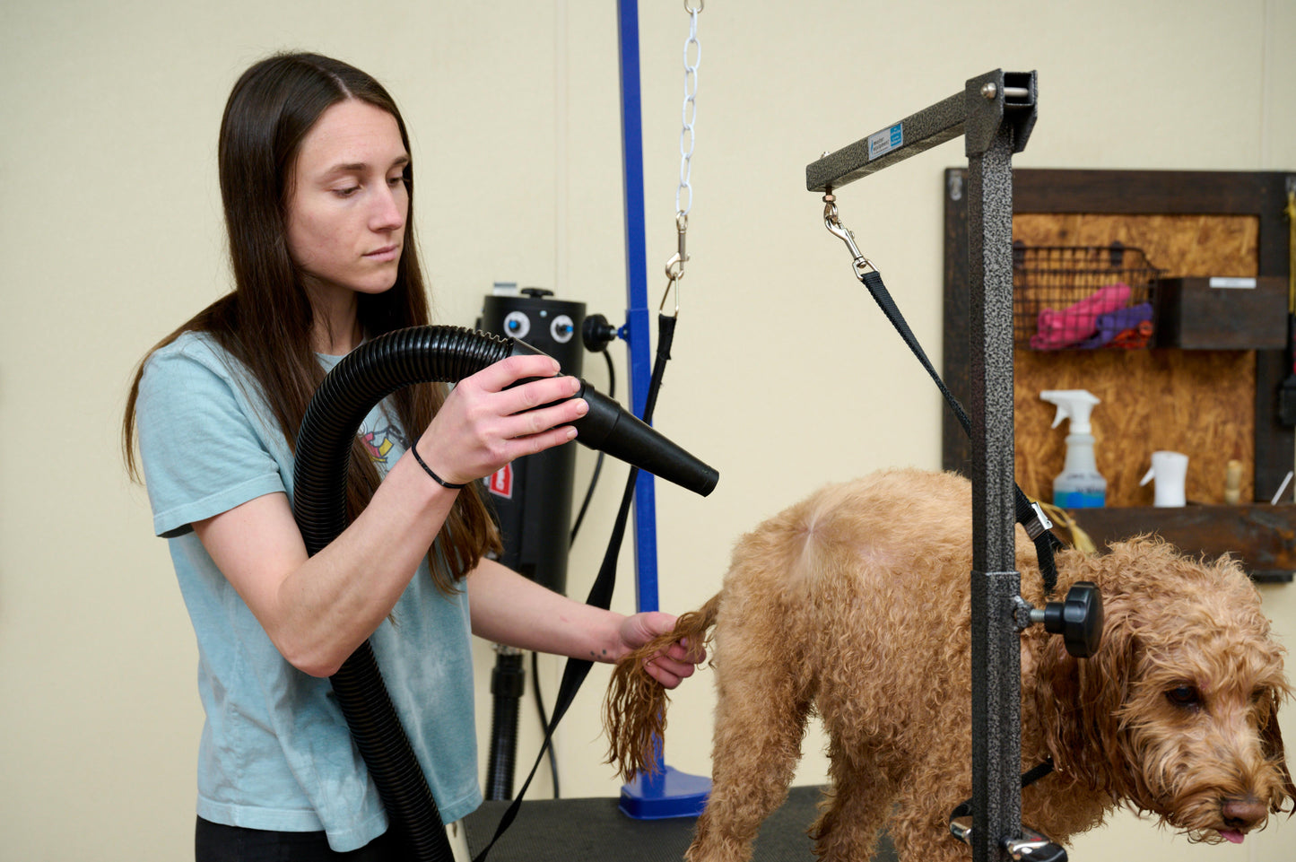 Metrovac 114I-144618 Air Force Master Blaster Variable Speed 220V / Uk