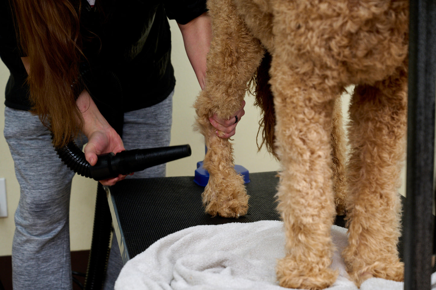 Metrovac 114I-141501 Air Force Master Blaster 220V / Euro