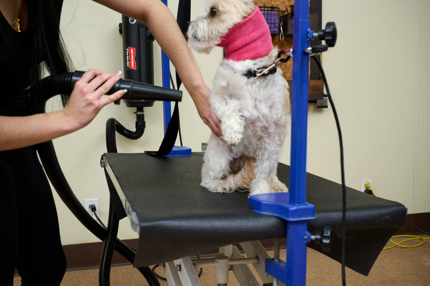 Metrovac 114I-144625 Air Force Master Blaster Variable Speed 220V / Aus