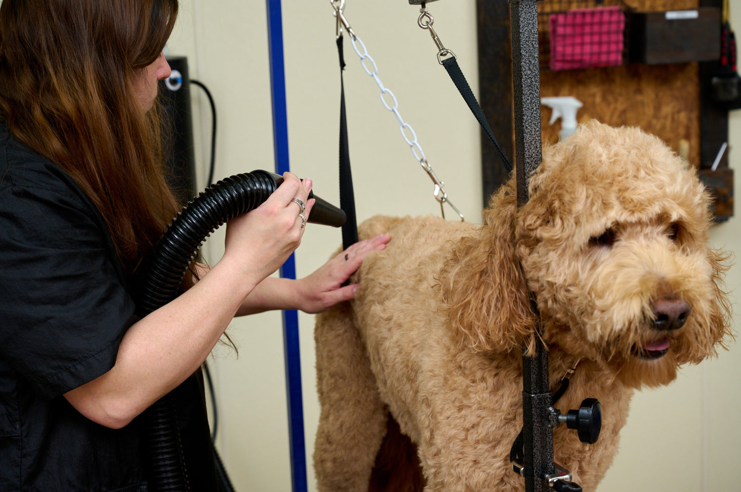 Metrovac 114I-141501 Air Force Master Blaster 220V / Euro