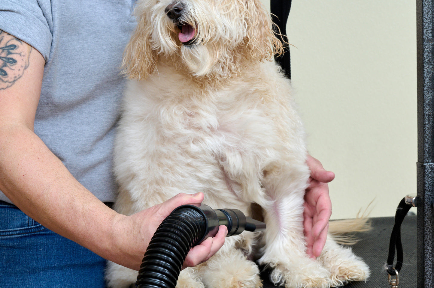 Metrovac 114I-144588 Air Force Master Blaster 220V / Aus