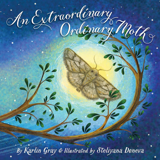 Paradise Clay CLP007 An Extraordinary Ordinary Moth - Book