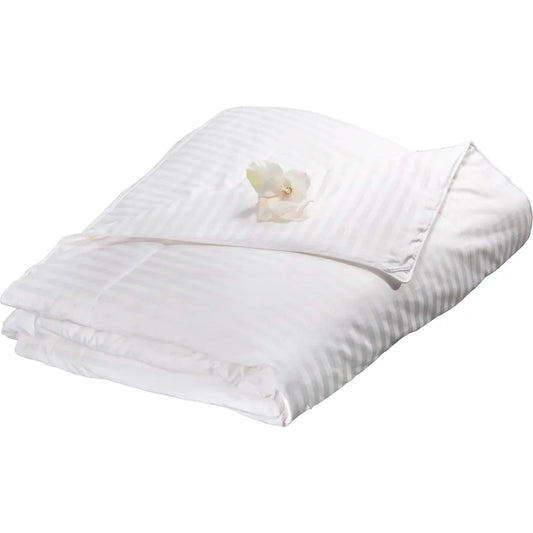 Barska BM12046 Aus Vio 100% Natural Charmeuse Silk Satin Winter Filled Comforter, Queen, Ivory