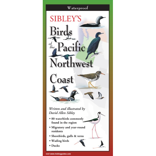 Paradise Clay FGG085 Sibley's Birds of Pacific NW Coast - Folding Pocket Guide