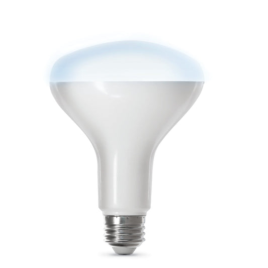 Feit Electric BR30/950CA/AG 7.2W (65W Replacement) Daylight (5000K) 26 Base BR30 Alexa Google Smart Bulb