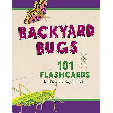 Paradise Clay GPT289 Backyard Bugs: 101 Flashcards for Discovering Insects