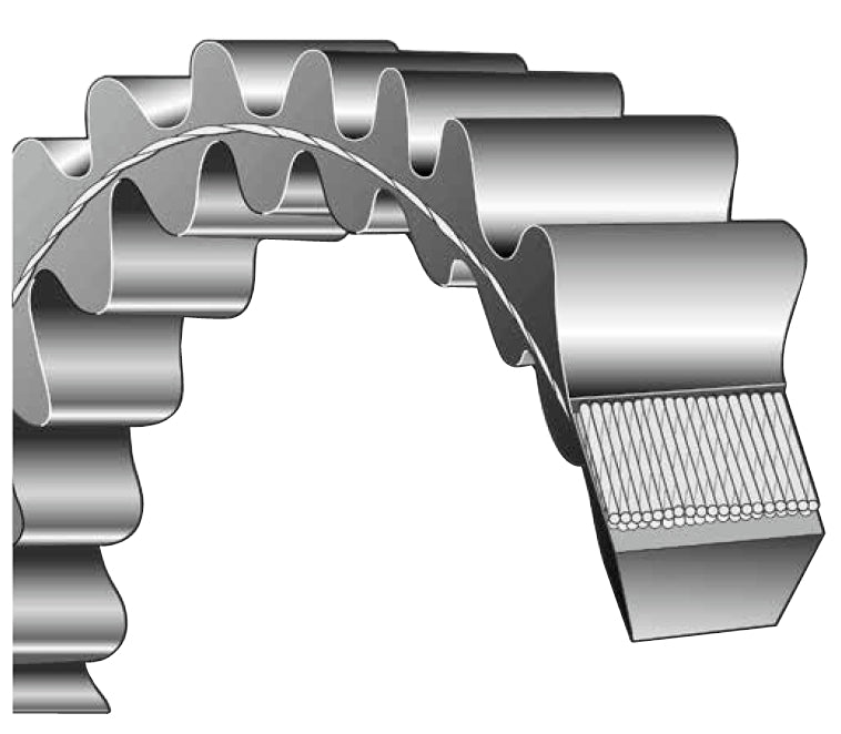 Bando DC6X540 Duraflex DC Polyurethane