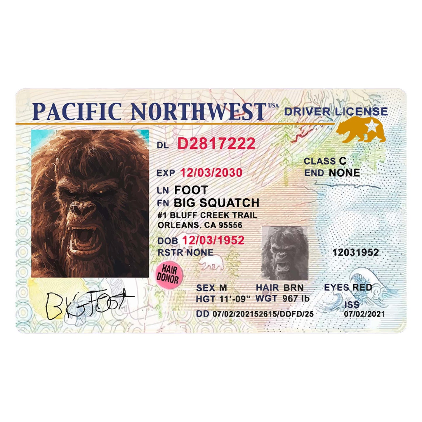 Paradise Clay IHS035 Bigfoot Drivers License - Vinyl Sticker (1 STICKER)