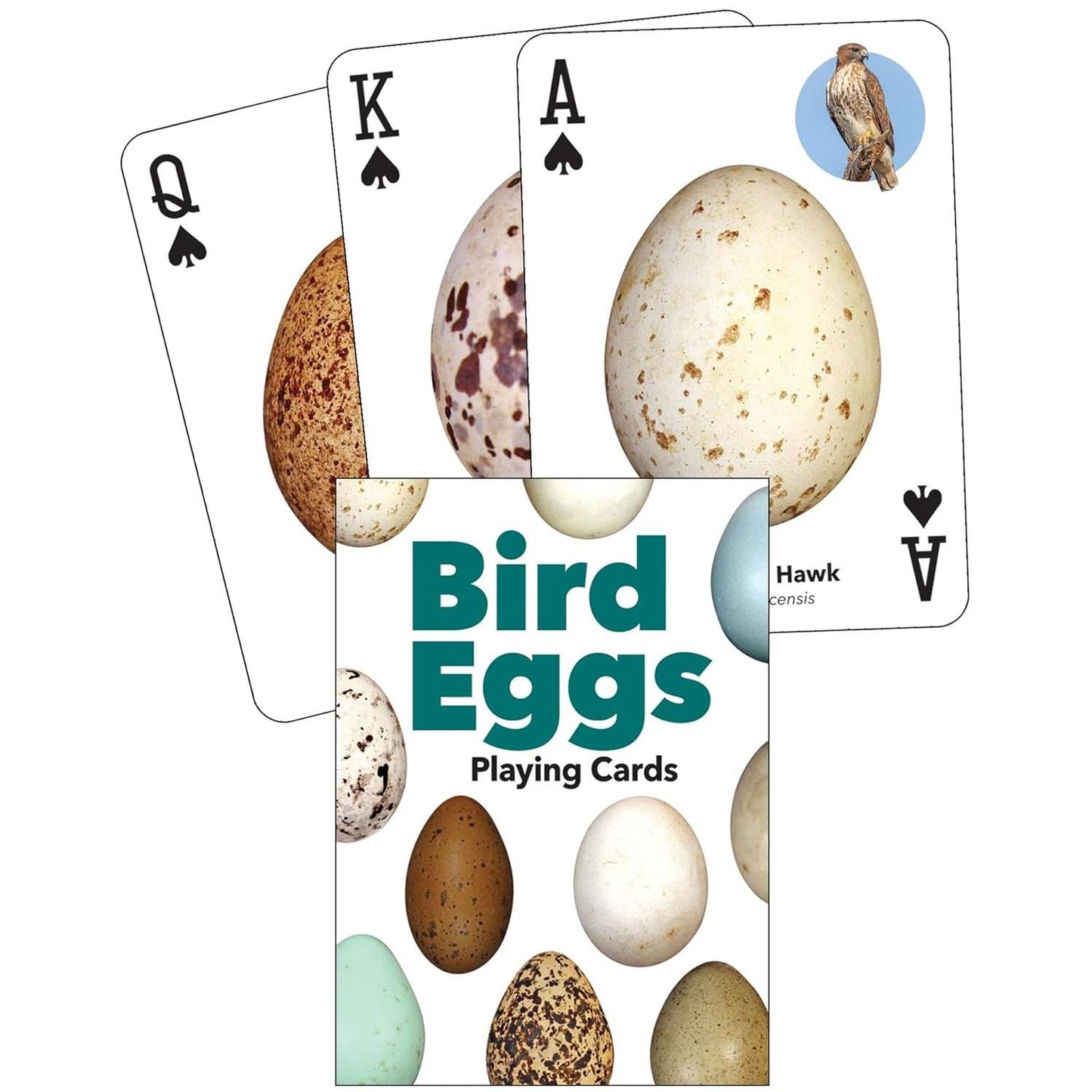 Paradise Clay AVK159 Bird Eggs Playing Cards