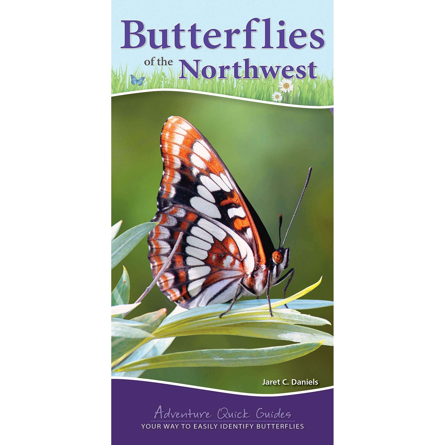Paradise Clay AVK090 Butterflies of the Northwest: Your Way to Easily Identify Butterflies - Book