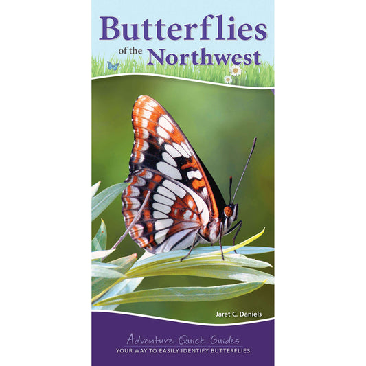Paradise Clay AVK090 Butterflies of the Northwest: Your Way to Easily Identify Butterflies - Book