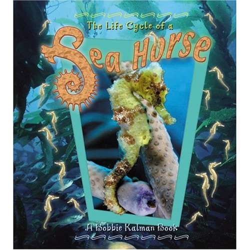 Paradise Clay CBP019 The Life Cycle of a Sea Horse - Book