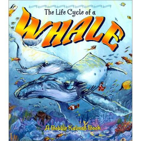 Paradise Clay CBP022 The Life Cycle of a Whale - Book