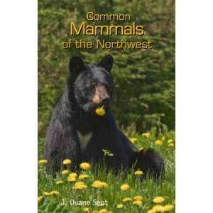 Paradise Clay CPC014 Common Mammals of the Northwest - Book