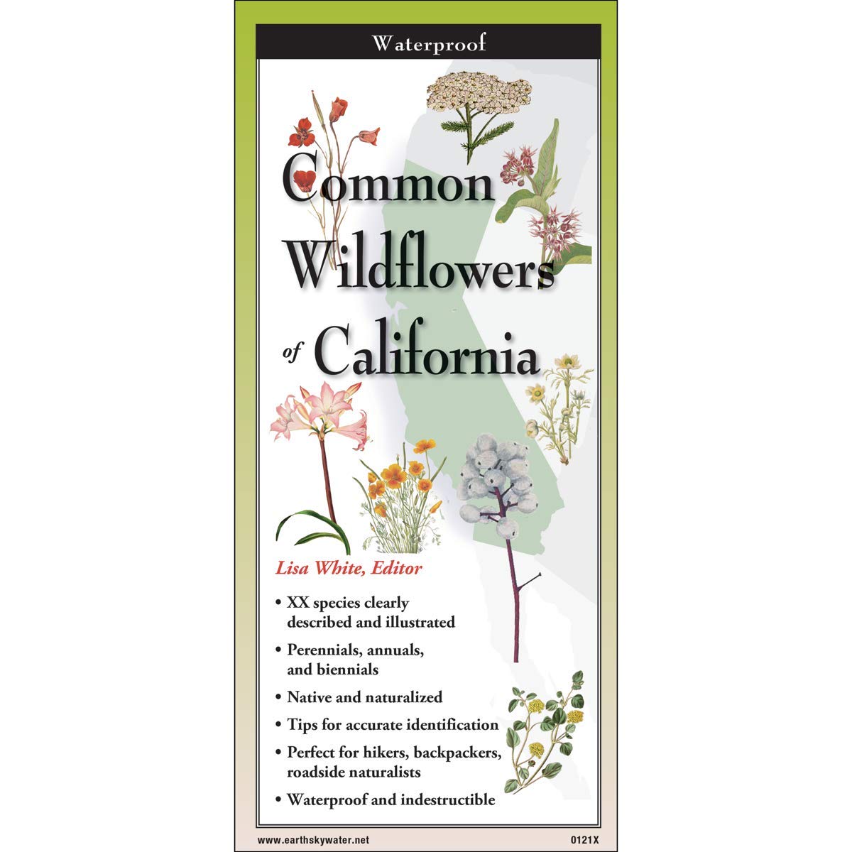 Paradise Clay FGG103 Common Wildflowers of California - Field Guide