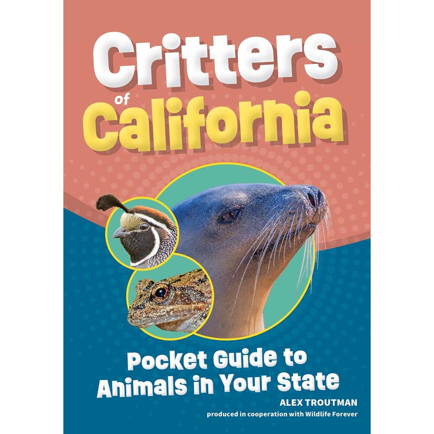 Paradise Clay AVK157 Critters of California: Pocket Guide to Animals in Your State - Book