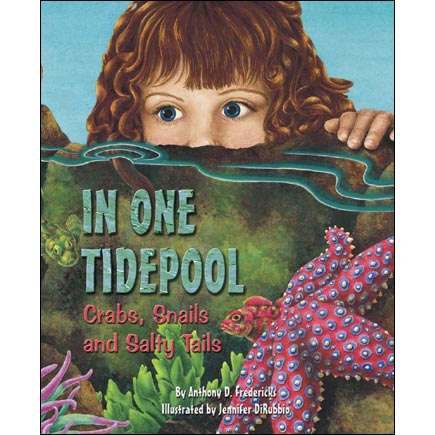 Paradise Clay DAW006 In One Tidepool: Crabs, Snails and Salty Tails - Book