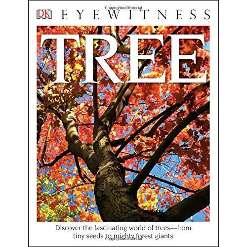 Paradise Clay DKP058 DK Eyewitness Books: Tree: Discover the Fascinating World of Trees from Tiny Seeds to Mighty Forest Giants - Book