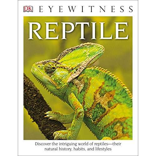 Paradise Clay DKP076 DK Eyewitness Books: Reptile - Book