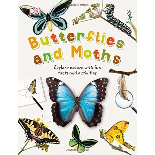 Paradise Clay DKP082 Butterflies and Moths - Book