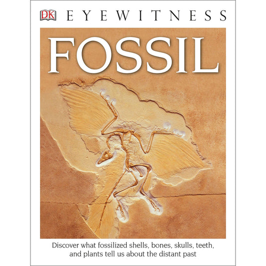Paradise Clay DKP084 DK Eyewitness Books: Fossil - Book