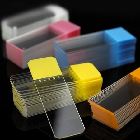 Globe Scientific 1384-30 Microscope Slides Diamond White Glass 25 x 75mm 45° Beveled Edges Clipped Corners Frosted 1 End 2 Sides 72/Box 20 Boxes/Case (10 Gross)