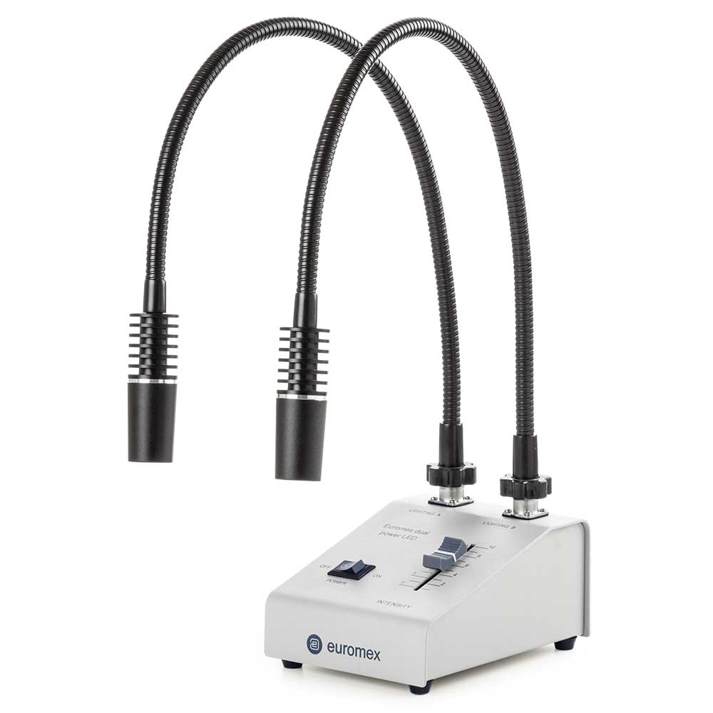 Globe Scientific ELE-5207 Euromex Dual LED illuminator