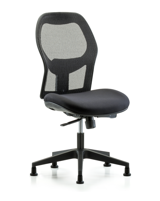 Blue Ridge Ergonomics EXE-MDHCH-RG-H0-A0-RG Executive Windrowe Mesh Back Chair with Stationary Glides