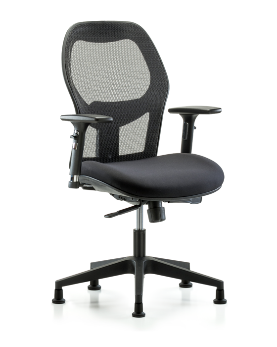 Blue Ridge Ergonomics EXE-MDHCH-RG-H0-A2-RG Executive Windrowe Mesh Back Chair with 3D Adjustable Arms & Stationary Glides