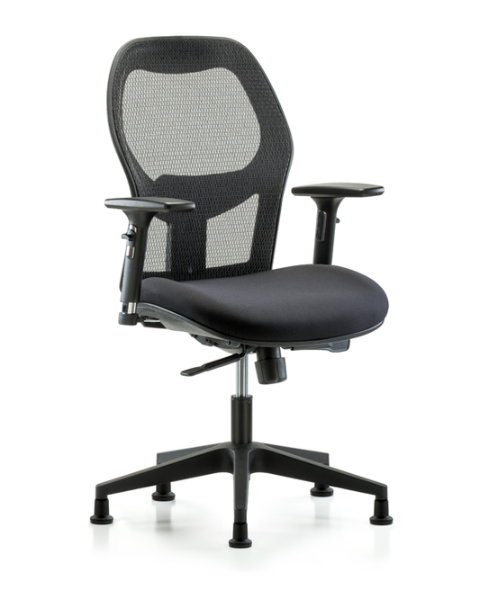 Blue Ridge Ergonomics EXE-MDHCH-RG-H0-A2-RG Executive Windrowe Mesh Back Chair with 3D Adjustable Arms & Stationary Glides