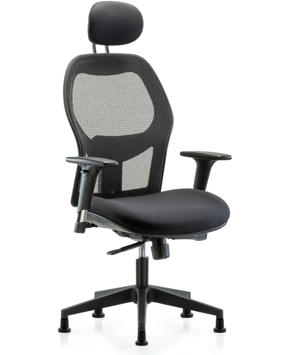 Blue Ridge Ergonomics EXE-MDHCH-RG-H1-A1-RG Executive Windrowe Mesh Back Chair with Head Rest, Standard Adjustable Arms, & Stationary Glides