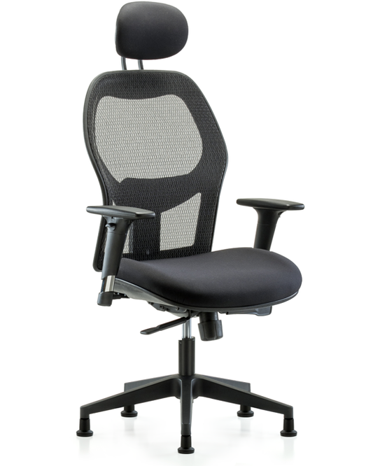 Blue Ridge Ergonomics EXE-MDHCH-RG-H1-A1-RG Executive Windrowe Mesh Back Chair with Head Rest, Standard Adjustable Arms, & Stationary Glides