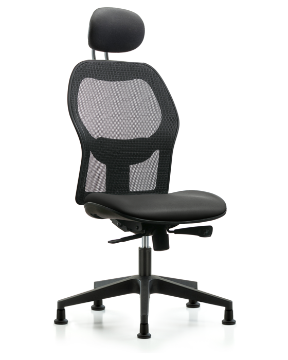 Blue Ridge Ergonomics EXE-VMDHCH-RG-H1-A0-RG-8823 Executive Windova Mesh Back Chair with Carbon Supernova™ Seat, Head Rest, & Stationary Glides