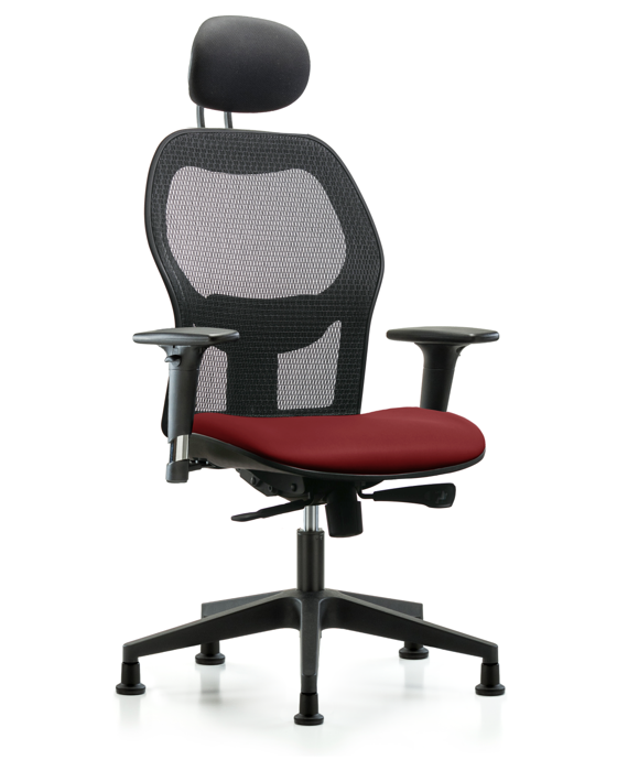 Blue Ridge Ergonomics EXE-VMDHCH-RG-H1-A1-RG-8815 Executive Windova Mesh Back Chair with Borscht Supernova™ Seat, Head Rest, Standard Adjustable Arms, & Stationary Glides