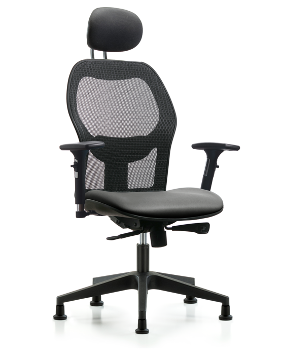 Blue Ridge Ergonomics EXE-VMDHCH-RG-H1-A2-RG-8840 Executive Windova Mesh Back Chair with Sterling Supernova™ Seat, Head Rest, 3D Adjustable Arms, & Stationary Glides