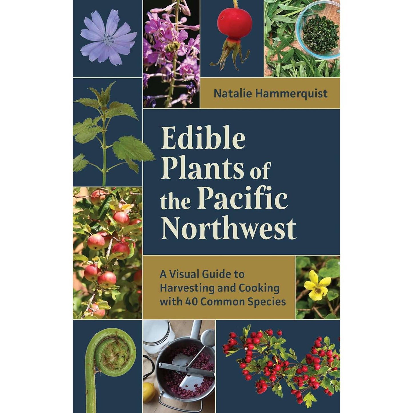 Paradise Clay MOU156 Edible Plants of the Pacific Northwest - Book