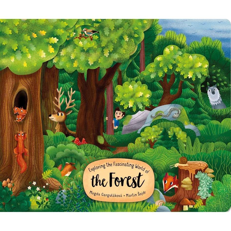 Paradise Clay FCP115 Exploring the Fascinating World of the Forest - Board Book