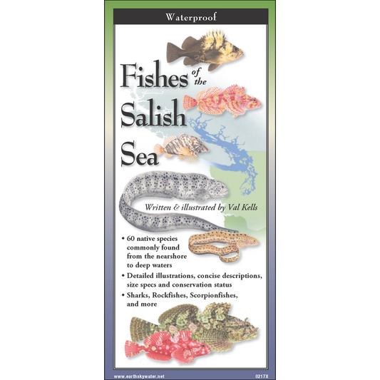 Paradise Clay FGG095 Fishes of the Salish Sea - Folding Pocket Guide