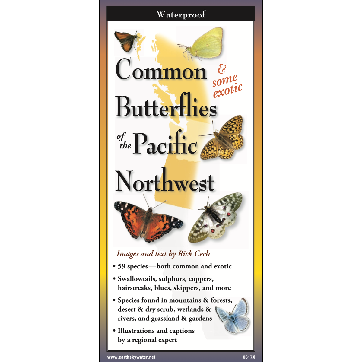 Paradise Clay FGG093 Common Butterflies of the Pacific Northwest - Folding Pocket Guide