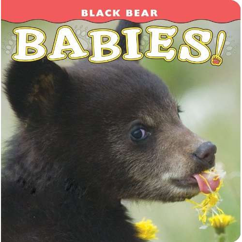 Paradise Clay FAR023 Black Bear Babies! - Book