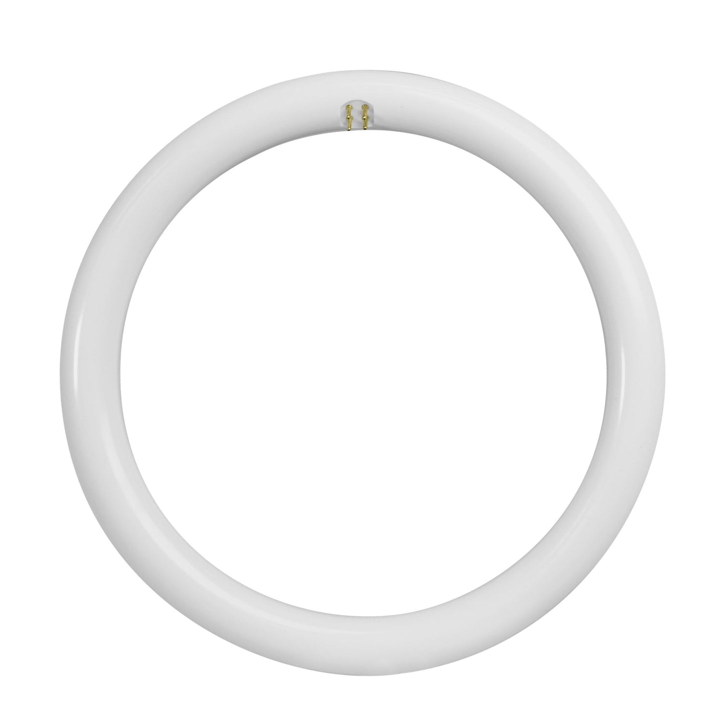 Feit Electric FC12/865/LED 12 in. 20W (32W Replacement) Daylight Deluxe (6500K) G10Q (T9 Replacement) Direct Replacement (Type A) Non-Dimmable Circline LED Light Tube
