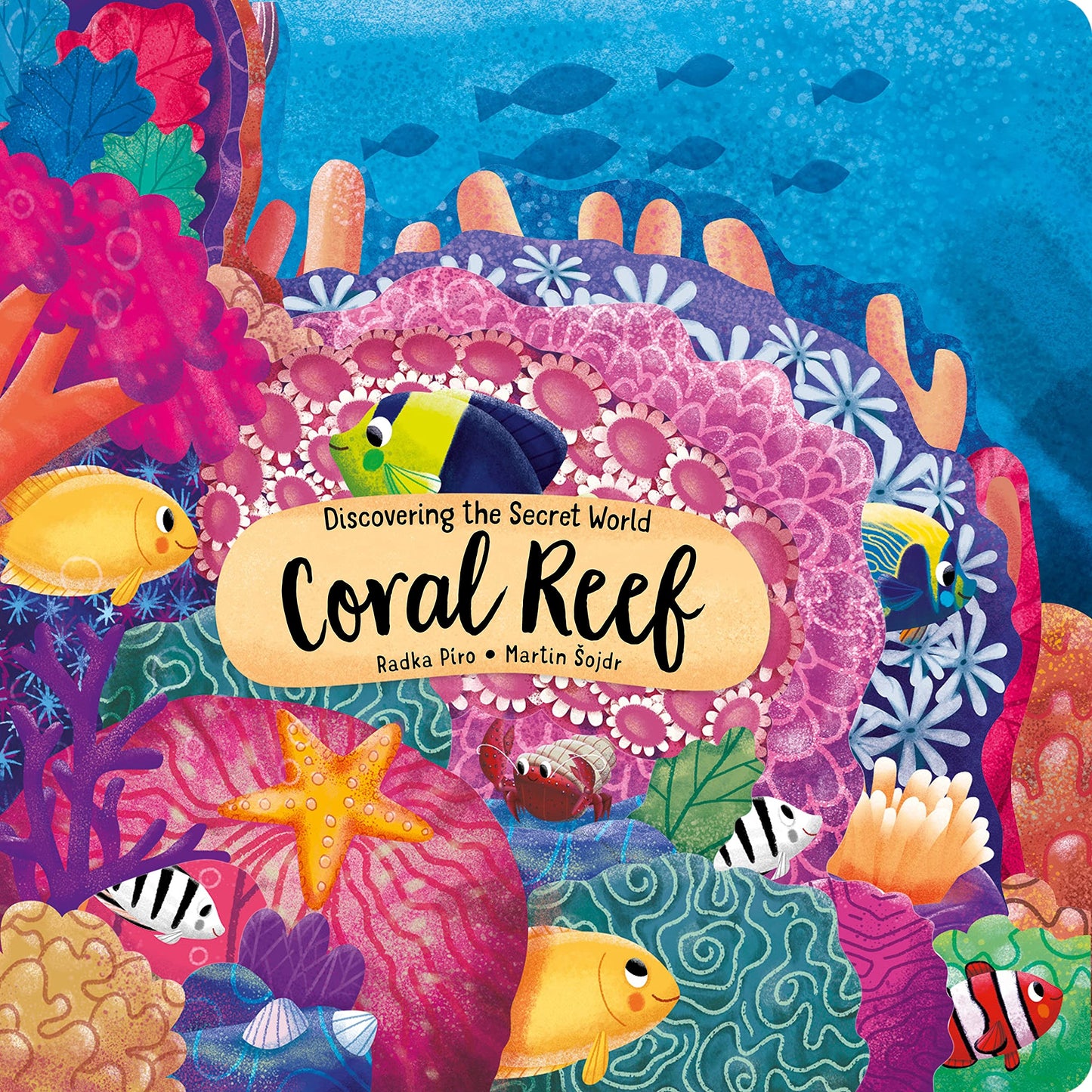 Paradise Clay FCP081 Discovering the Secret World: Coral Reef - Book