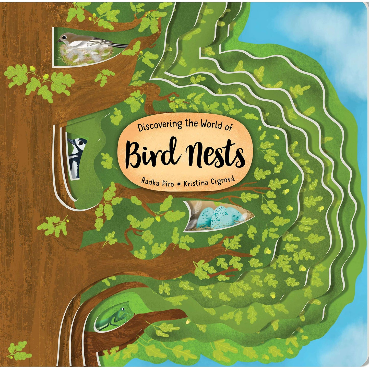 Paradise Clay FCP104 Discovering the World of Bird Nests - Book