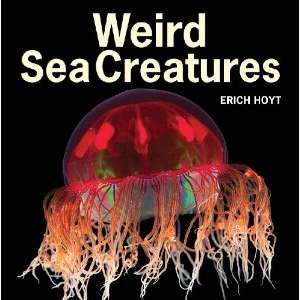 Paradise Clay FFB079 Weird Sea Creatures - Book