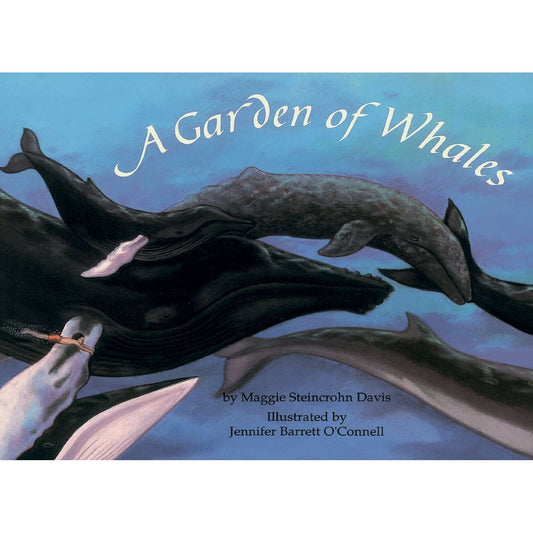 Paradise Clay FFB080 A Garden of Whales - Book