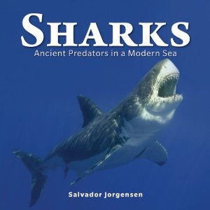 Paradise Clay FFB171 Sharks: Ancient Predators in a Modern Sea - Book