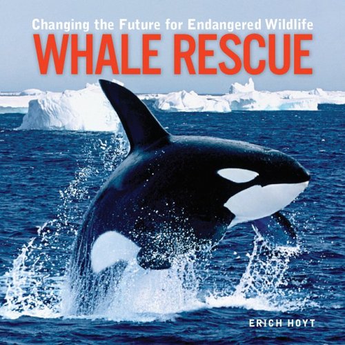 Paradise Clay FFB125 Whale Rescue: Changing the Future for Endangered Wildlife - Book